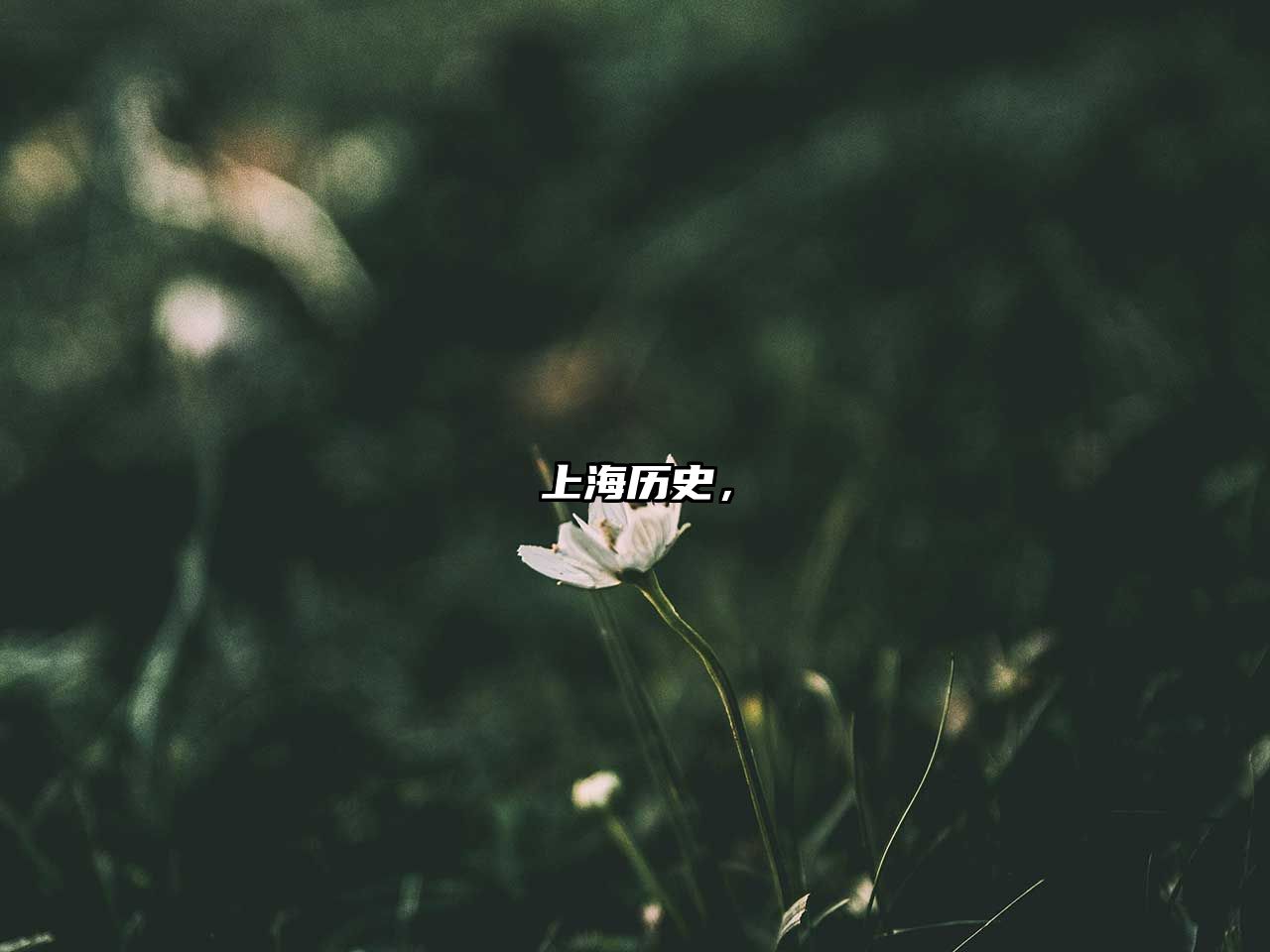 上海歷史，