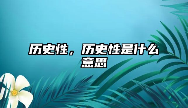 歷史性，歷史性是什么意思