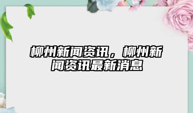 柳州新聞資訊，柳州新聞資訊最新消息
