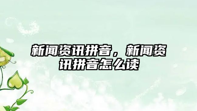新聞資訊拼音，新聞資訊拼音怎么讀