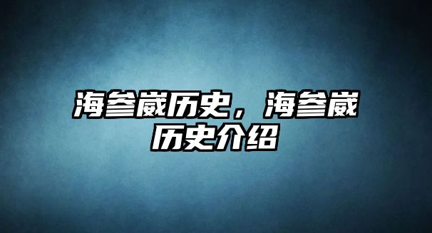海參崴歷史，海參崴歷史介紹