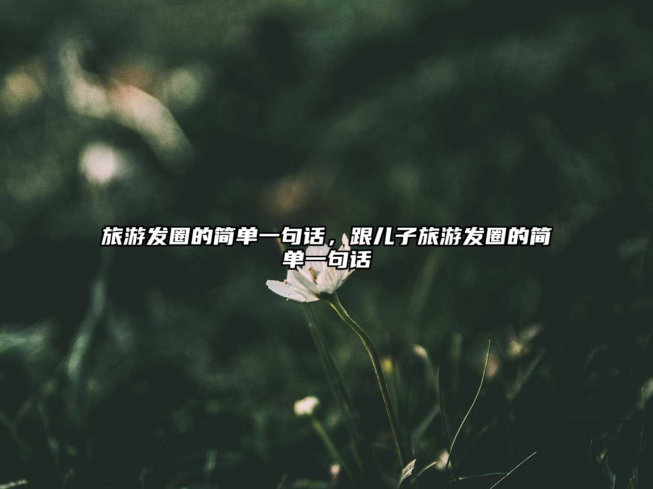 旅游發(fā)圈的簡單一句話，跟兒子旅游發(fā)圈的簡單一句話