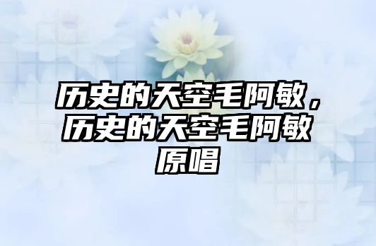 歷史的天空毛阿敏，歷史的天空毛阿敏原唱