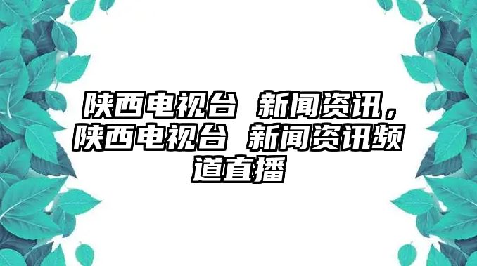 陜西電視臺(tái) 新聞資訊，陜西電視臺(tái) 新聞資訊頻道直播