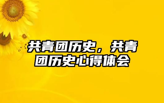 共青團歷史，共青團歷史心得體會