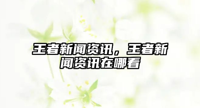 王者新聞資訊，王者新聞資訊在哪看