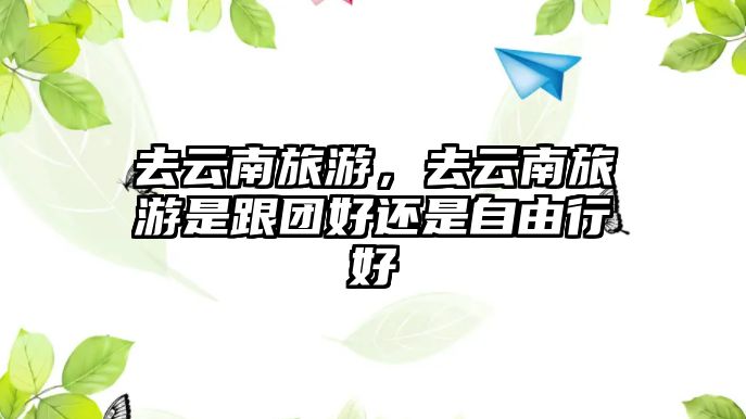 去云南旅游，去云南旅游是跟團好還是自由行好