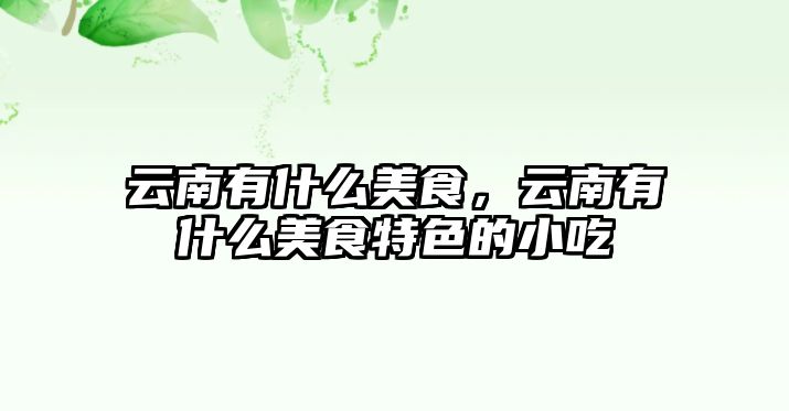 云南有什么美食，云南有什么美食特色的小吃