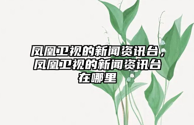 鳳凰衛視的新聞資訊臺，鳳凰衛視的新聞資訊臺在哪里
