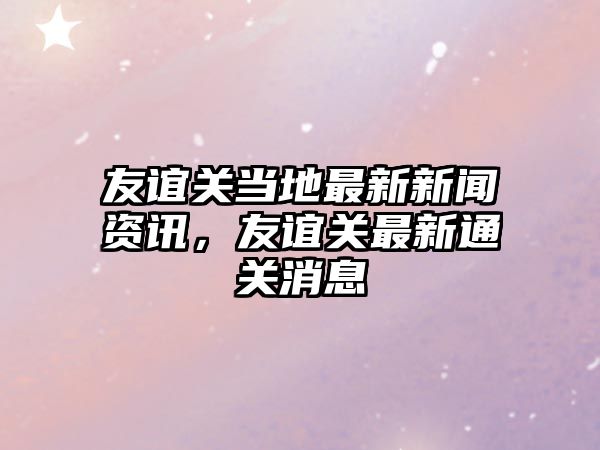 友誼關當地最新新聞資訊，友誼關最新通關消息