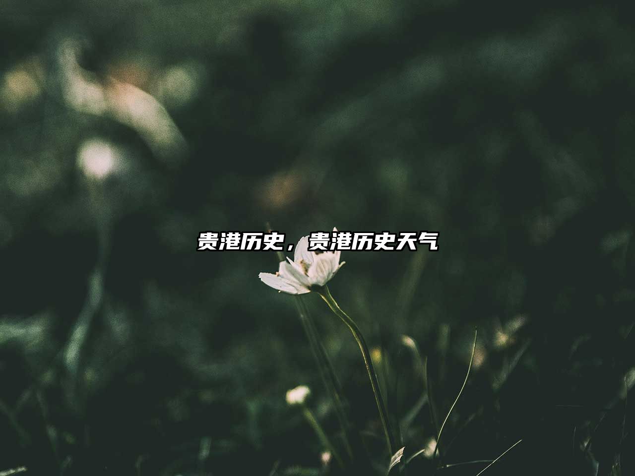 貴港歷史，貴港歷史天氣