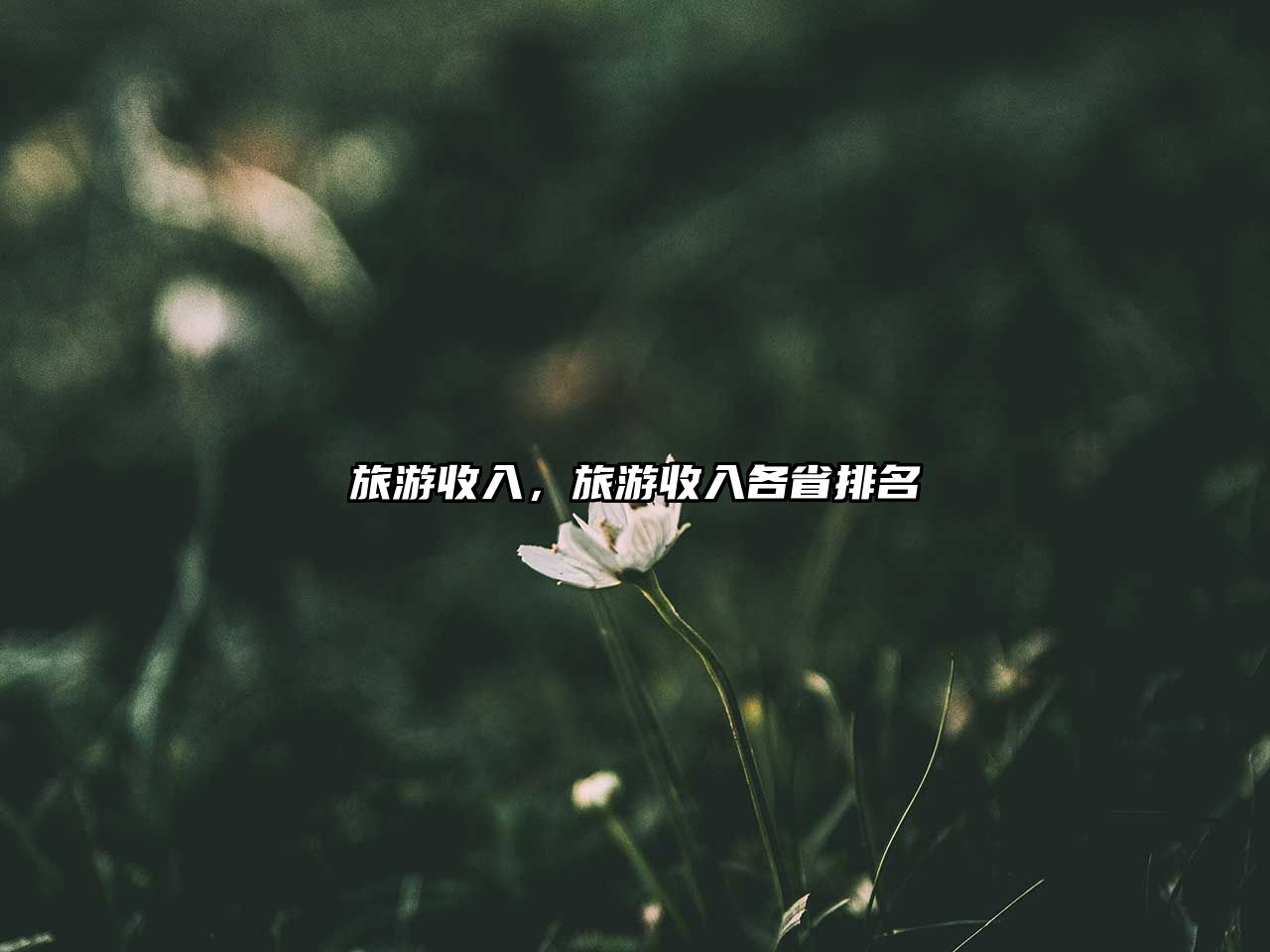 旅游收入，旅游收入各省排名
