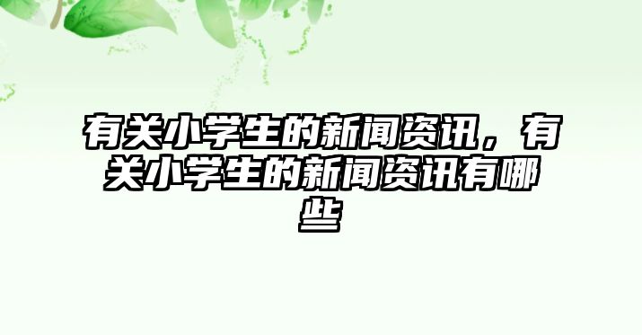 有關小學生的新聞資訊，有關小學生的新聞資訊有哪些