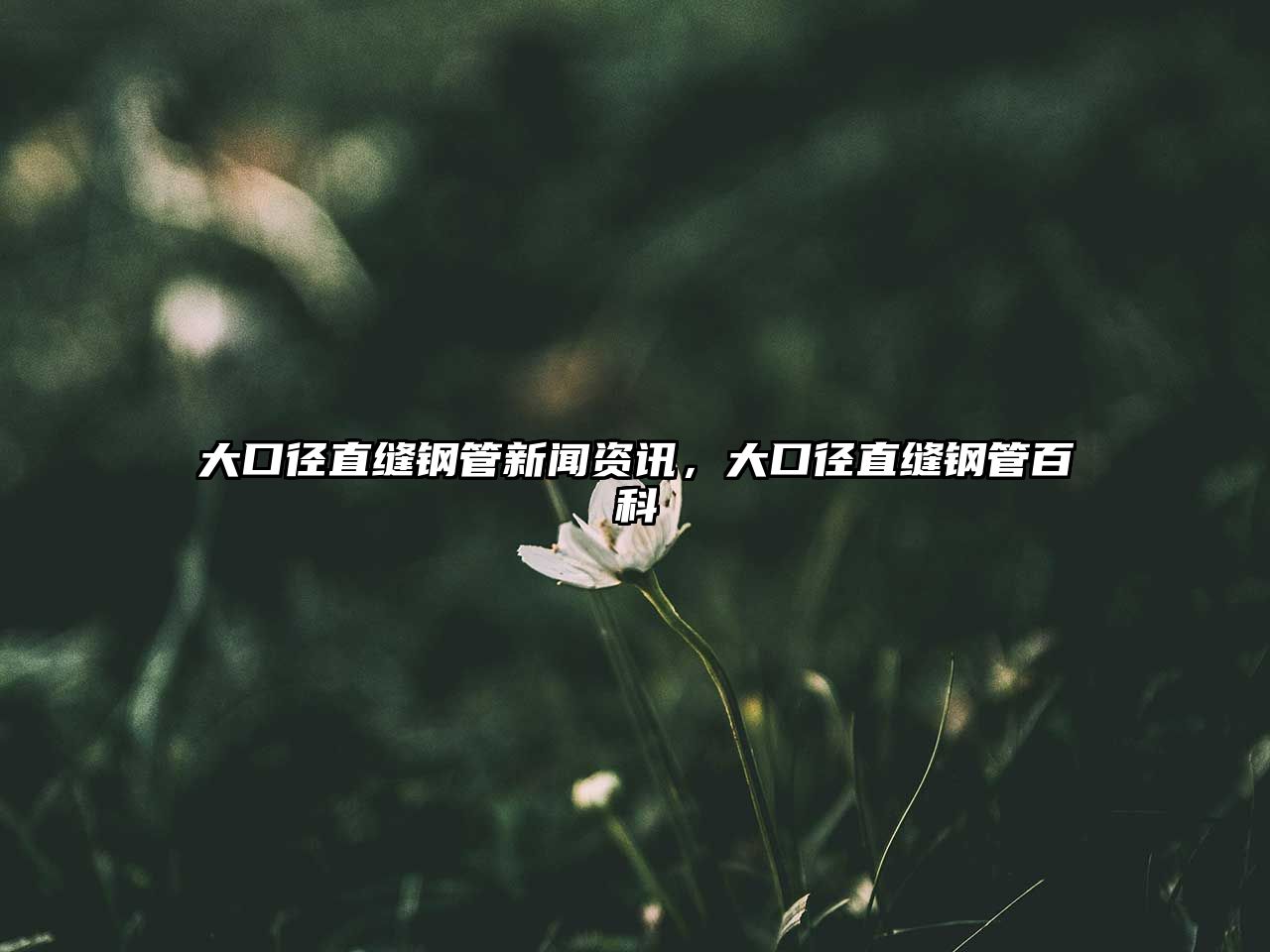 大口徑直縫鋼管新聞資訊，大口徑直縫鋼管百科