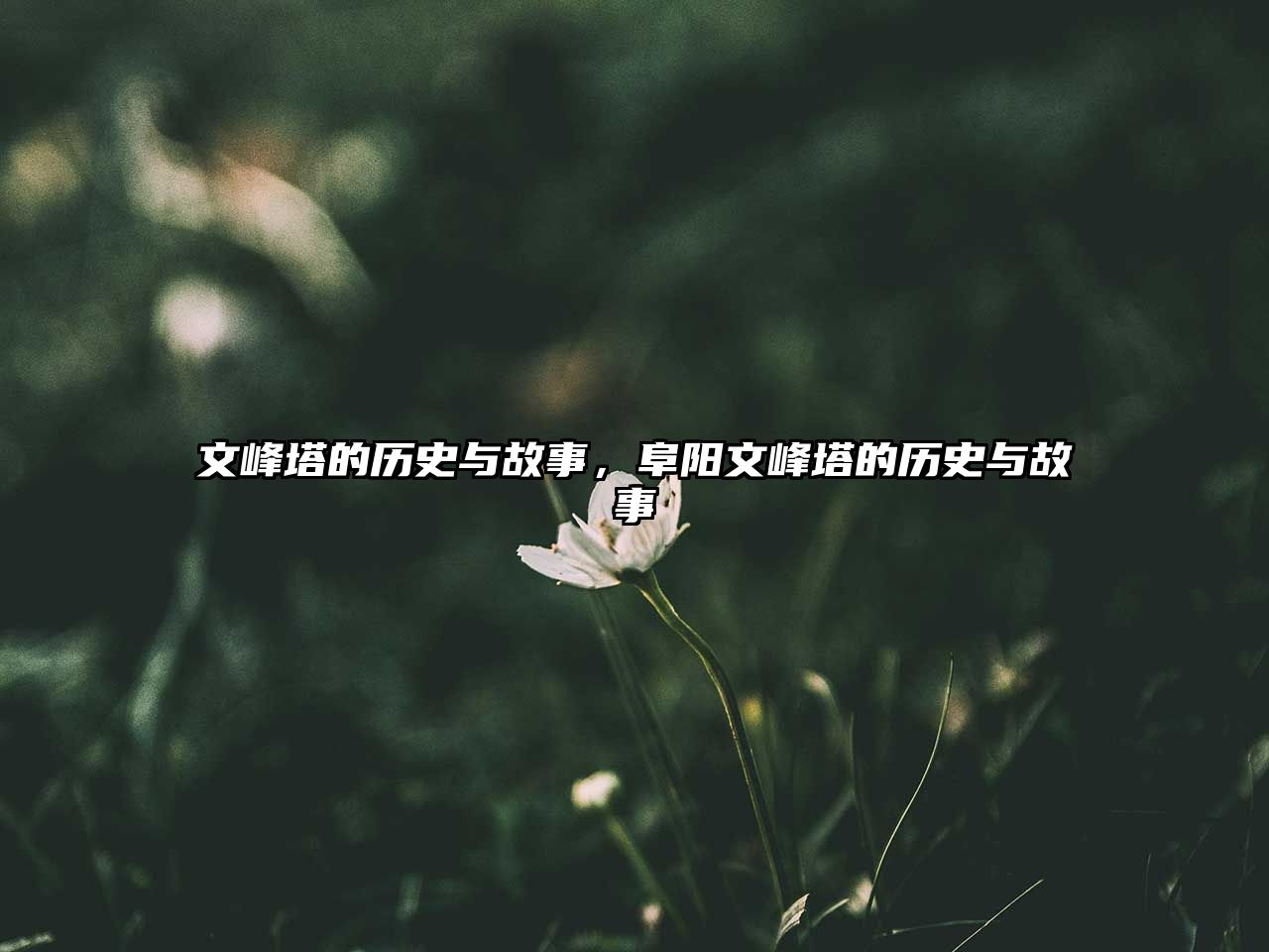 文峰塔的歷史與故事，阜陽文峰塔的歷史與故事
