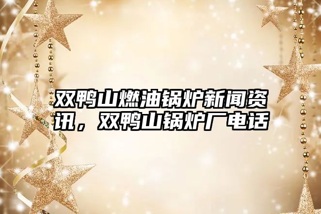 雙鴨山燃油鍋爐新聞資訊，雙鴨山鍋爐廠電話
