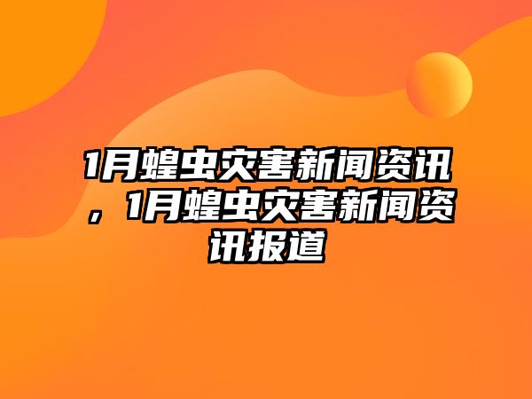 1月蝗蟲災害新聞資訊，1月蝗蟲災害新聞資訊報道