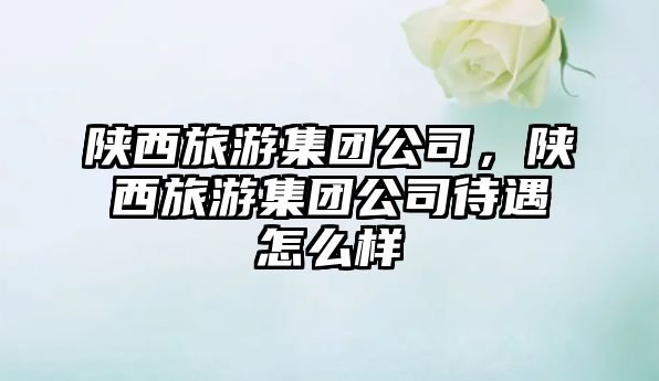 陜西旅游集團公司，陜西旅游集團公司待遇怎么樣