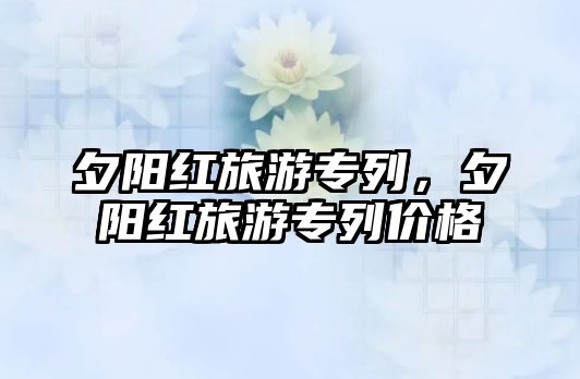 夕陽紅旅游專列，夕陽紅旅游專列價格