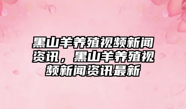黑山羊養殖視頻新聞資訊，黑山羊養殖視頻新聞資訊最新