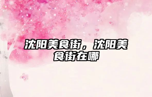 沈陽美食街，沈陽美食街在哪