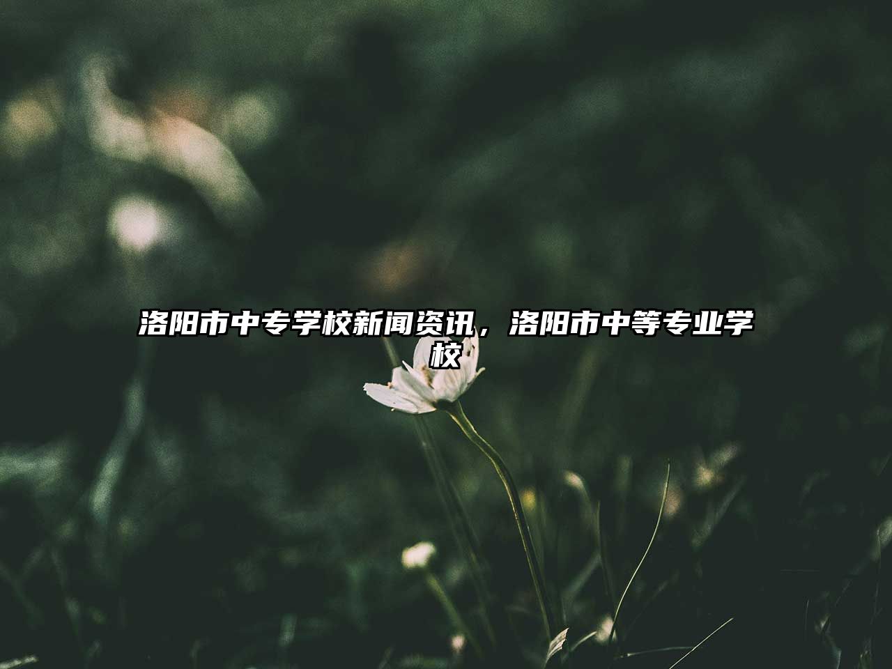 洛陽市中專學(xué)校新聞資訊，洛陽市中等專業(yè)學(xué)校